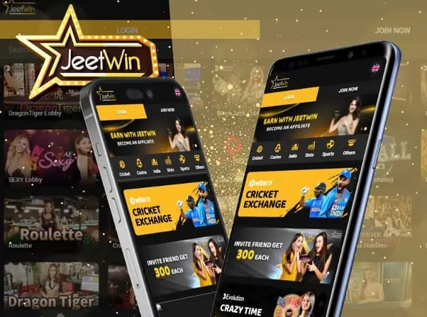 JeeTwin তরনা আবেদনের আবেদনপত্রের সাধারণ ত্রুটি কী রয়েছে?